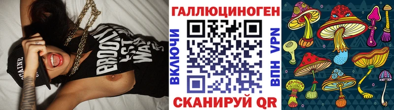 Галлюциногенные грибы GOLDEN TEACHER  Гвардейск 